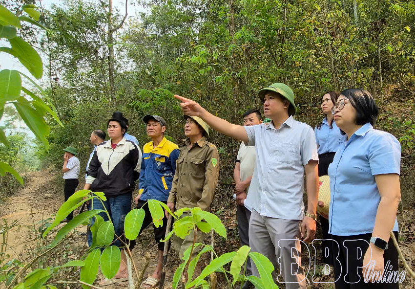 Tháo gỡ vướng mắc chi trả dịch vụ môi trường rừng 