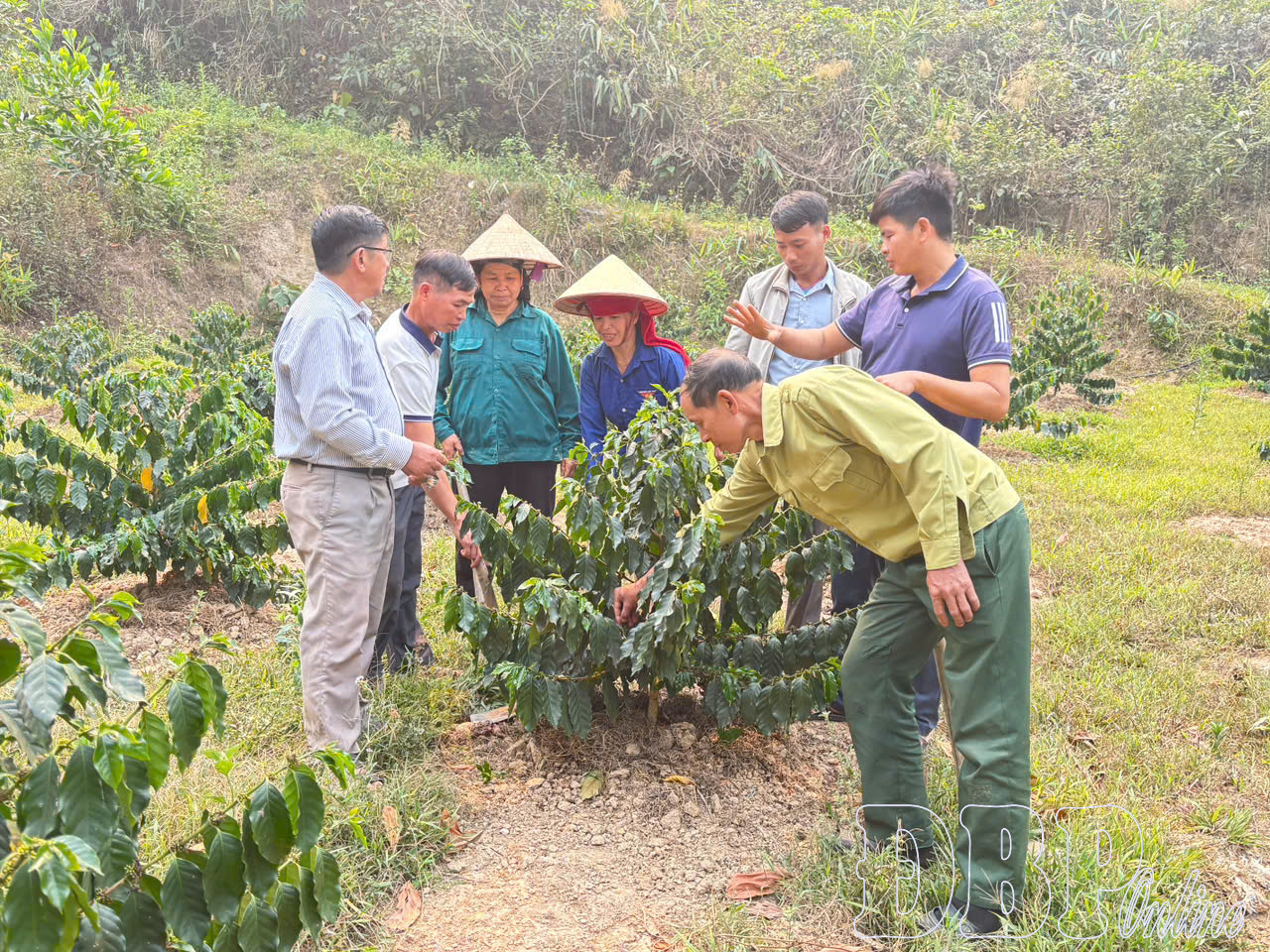 Xây “gốc” vững cho Đảng