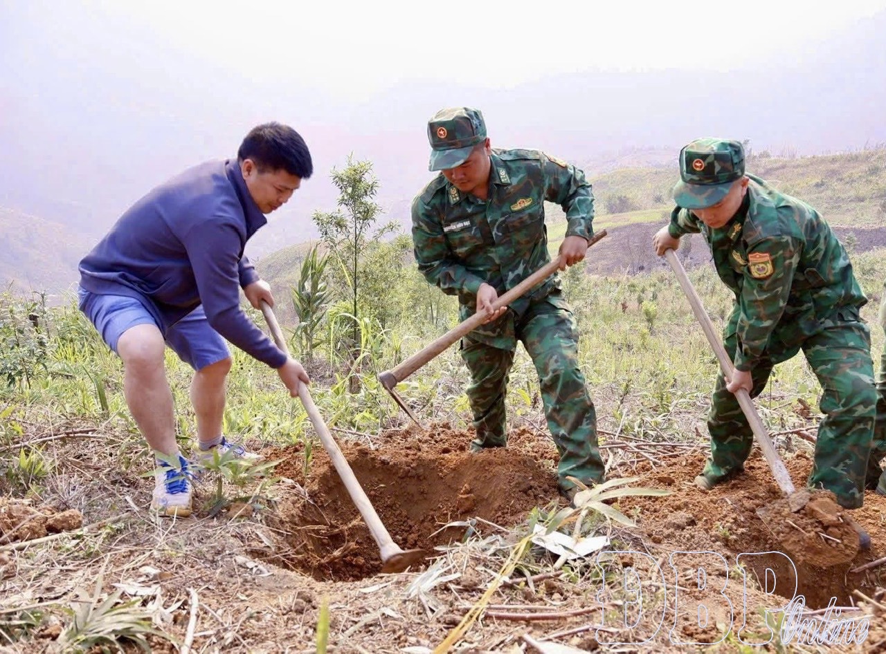 Các địa phương tăng tốc trồng cà phê, mắc ca 