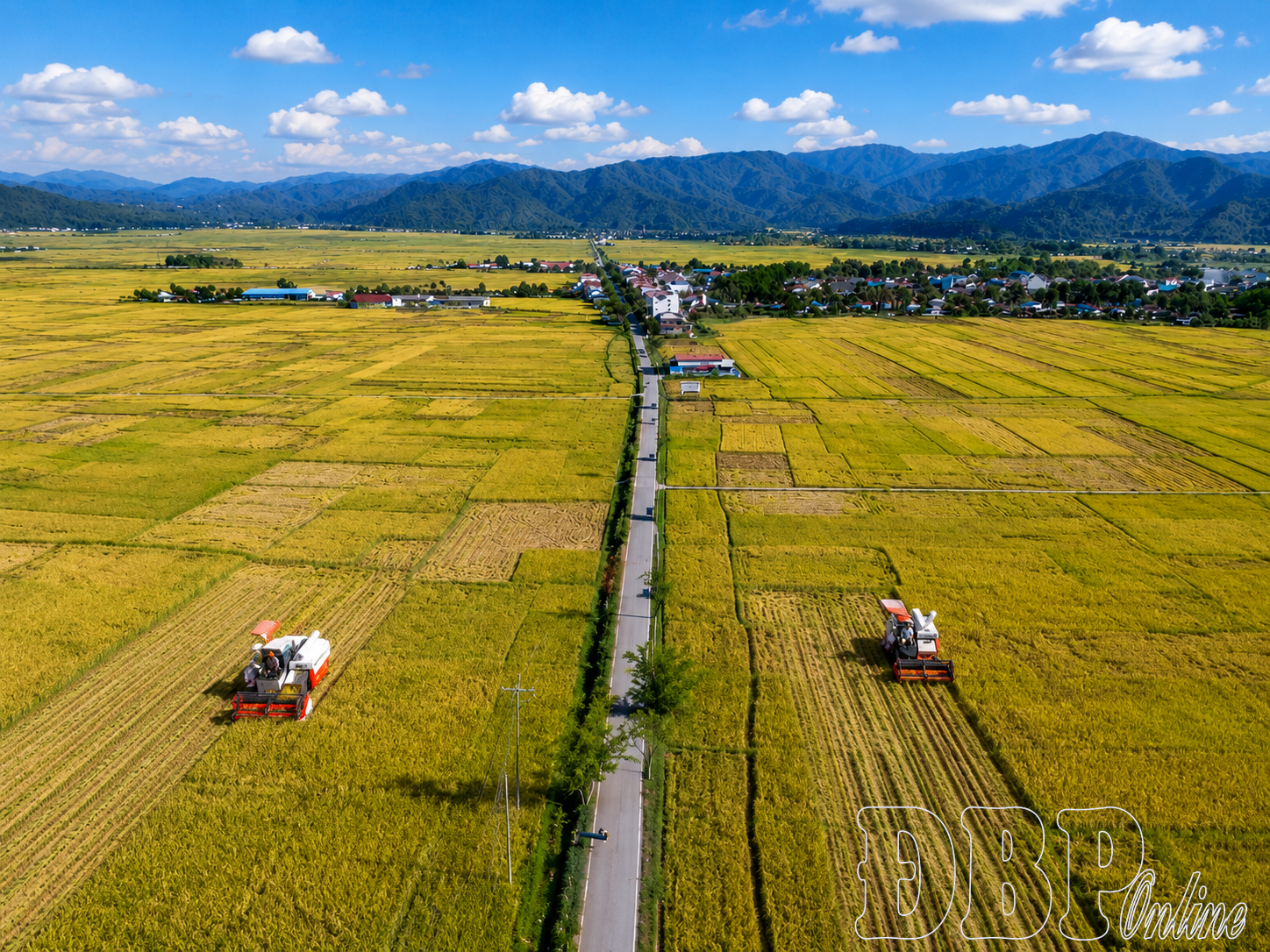 Phát huy hiệu quả chỉ dẫn địa lý gạo Điện Biên