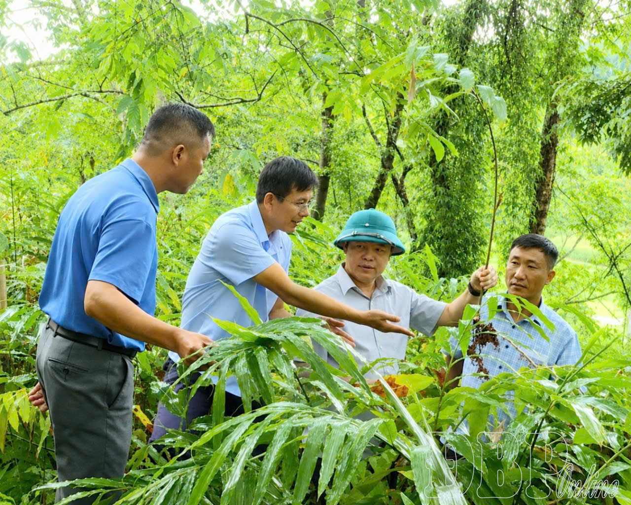 Những bước chân xuống bản ở Sín Thầu
