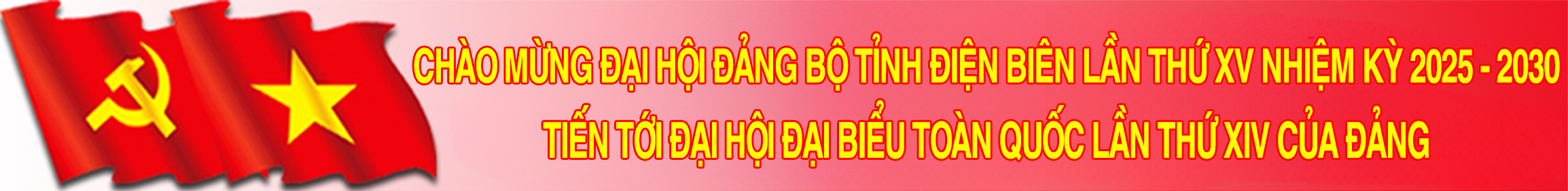 Banner1