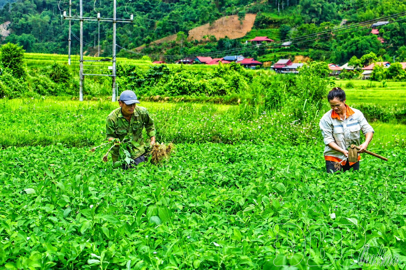 Động lực phát triển ở Na Son