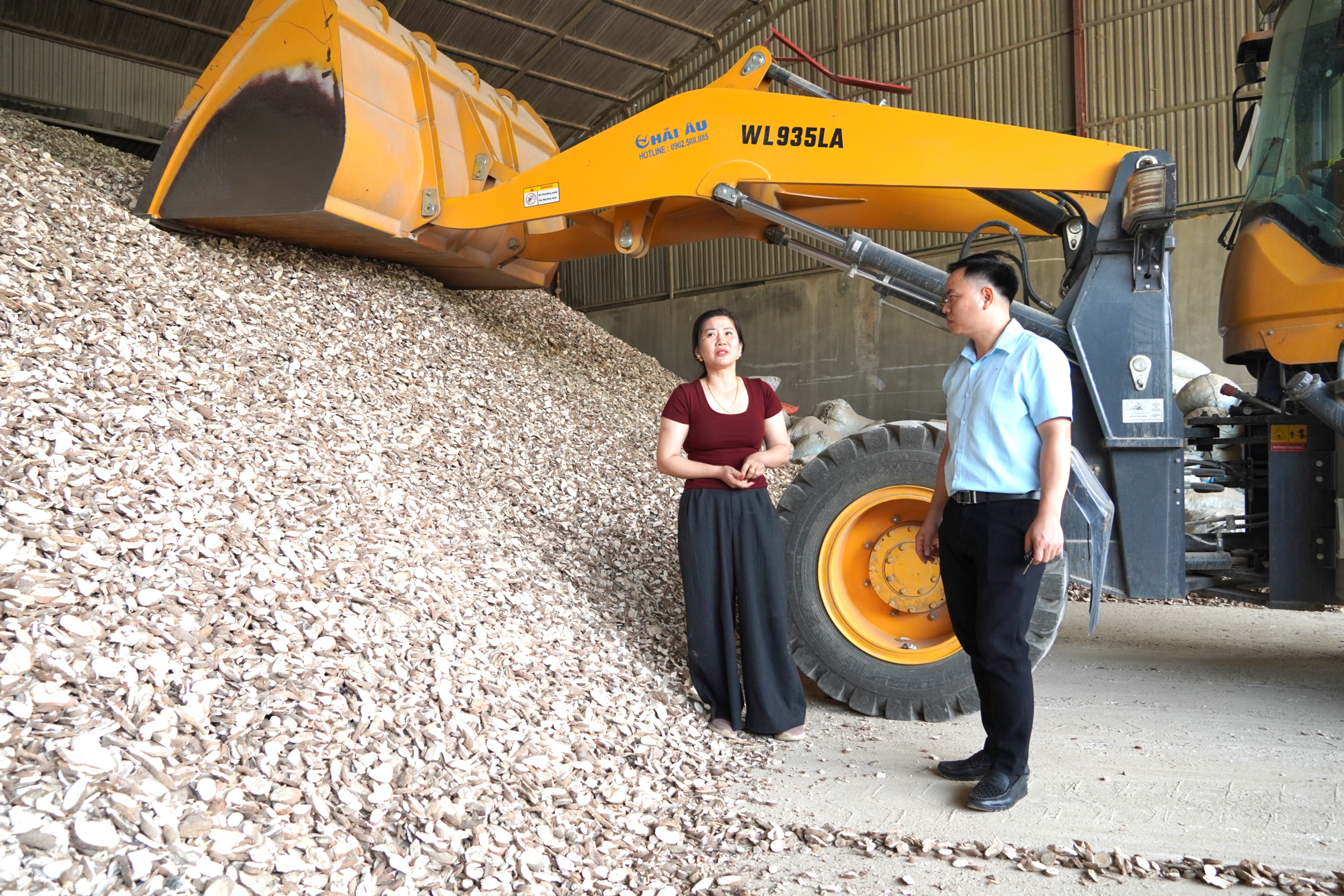 Giá sắn tăng cao, nông dân phấn khởi