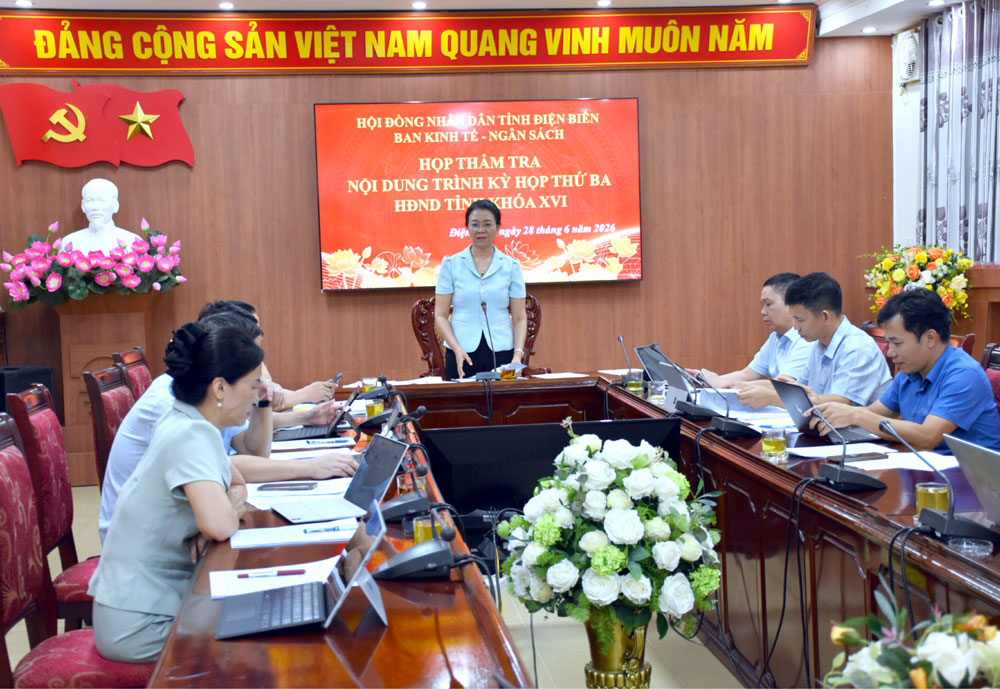 Ban Kinh tế - Ngân sách HĐND tỉnh thẩm tra nội dung trình kỳ họp thứ Ba