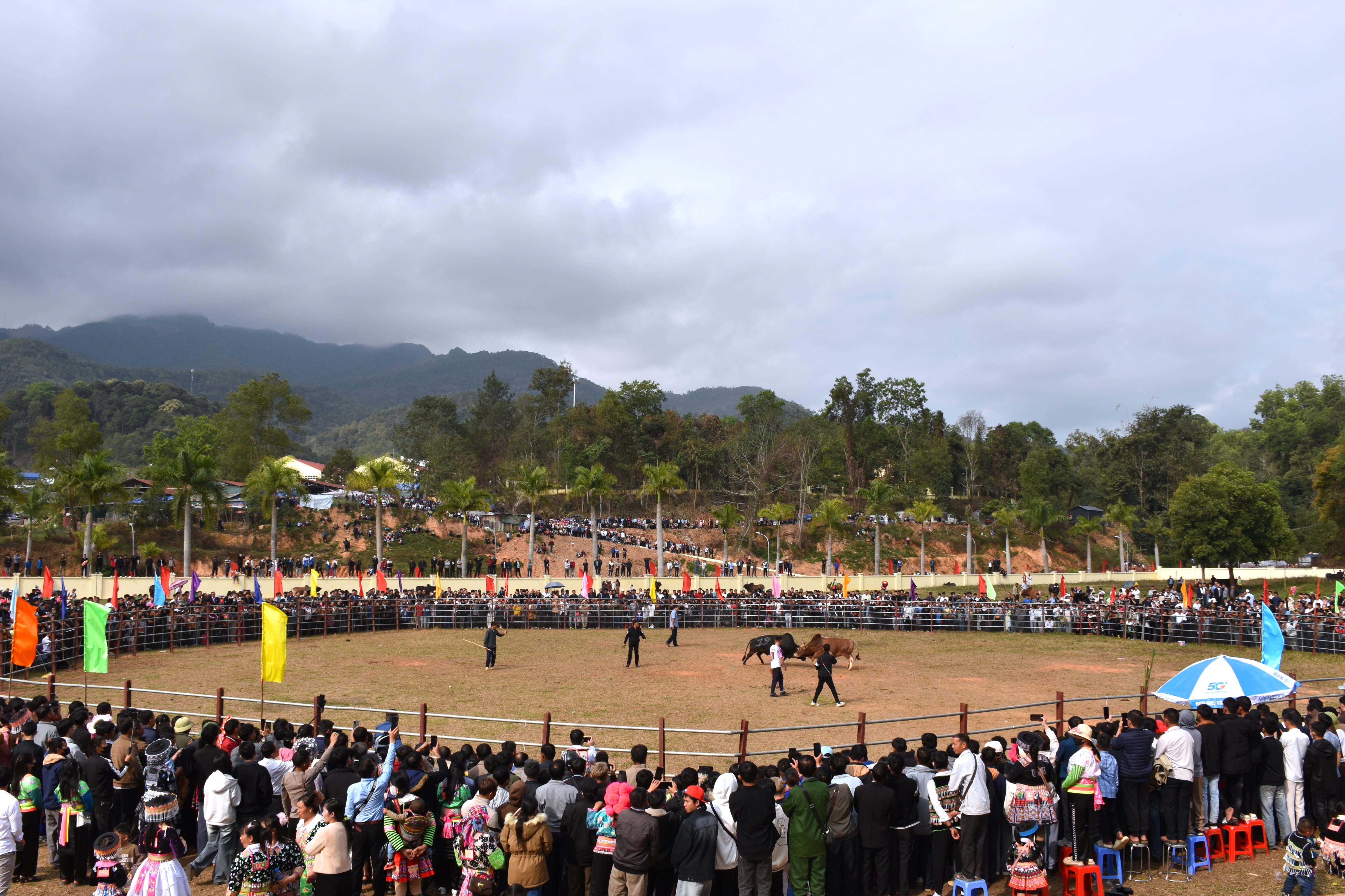 Xuân mới, khí thế mới