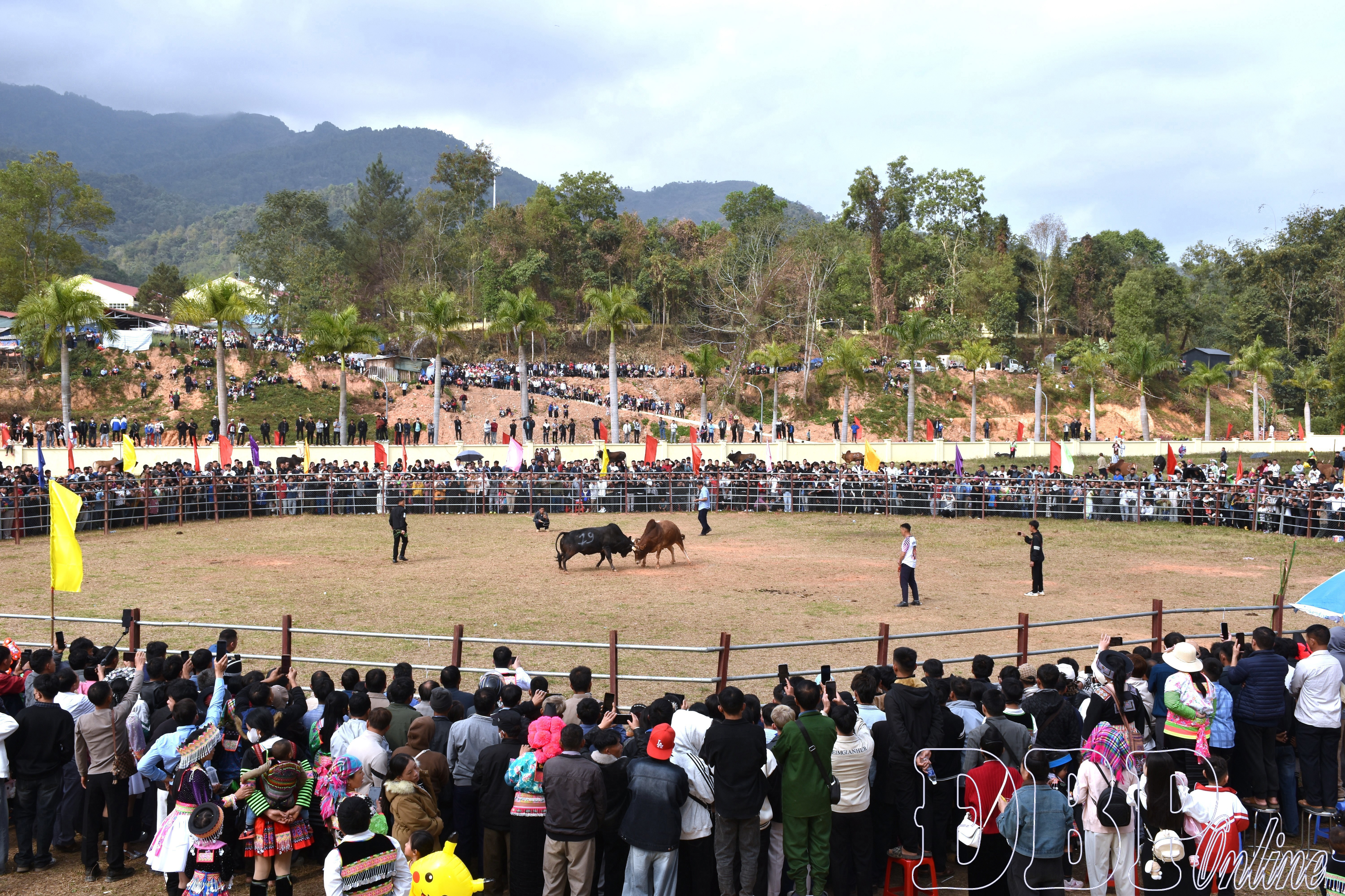 Na Son rộn ràng Hội xuân Bính Ngọ