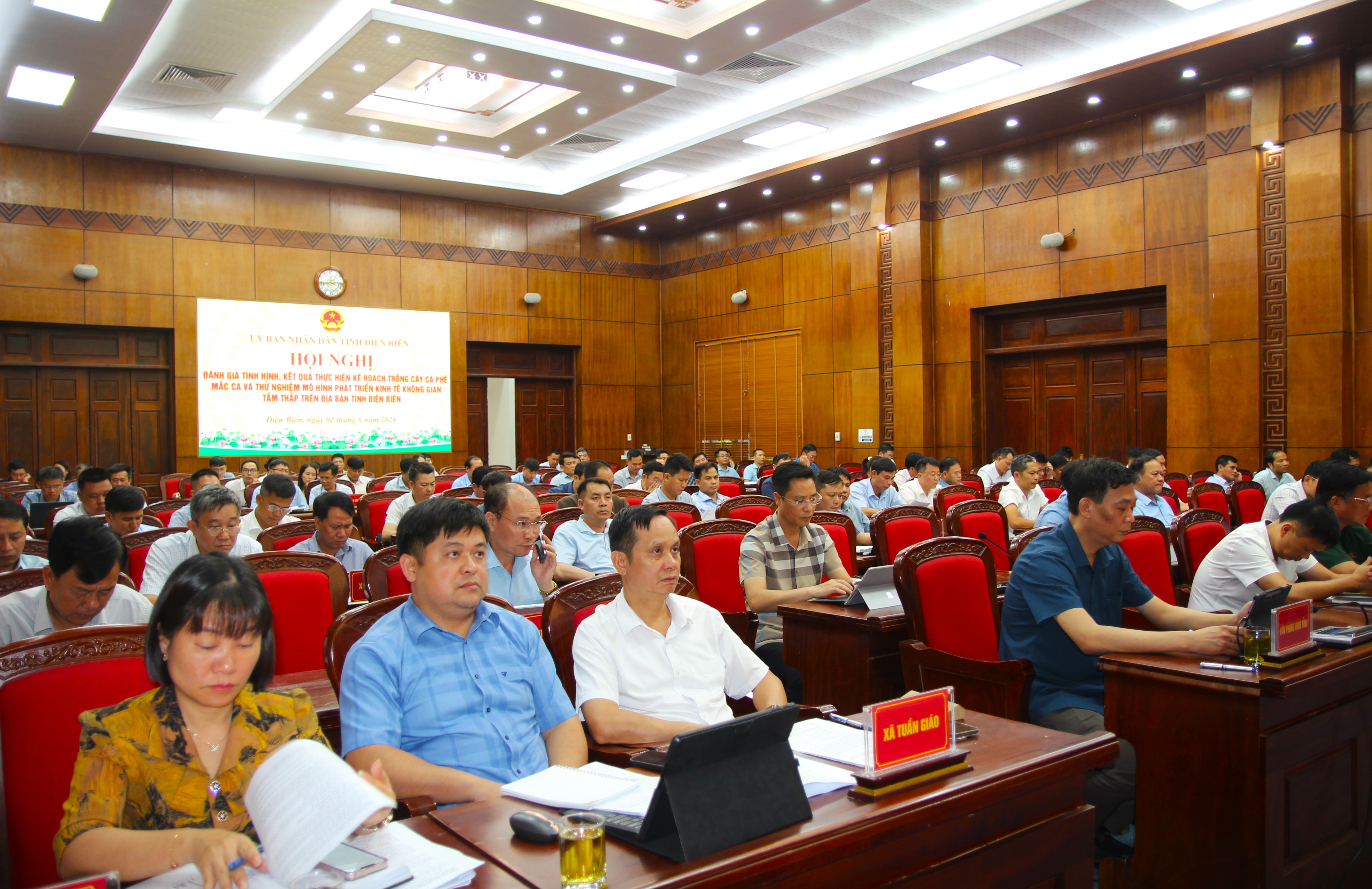 Đẩy nhanh tiến độ trồng cà phê, mắc ca đúng thời vụ 