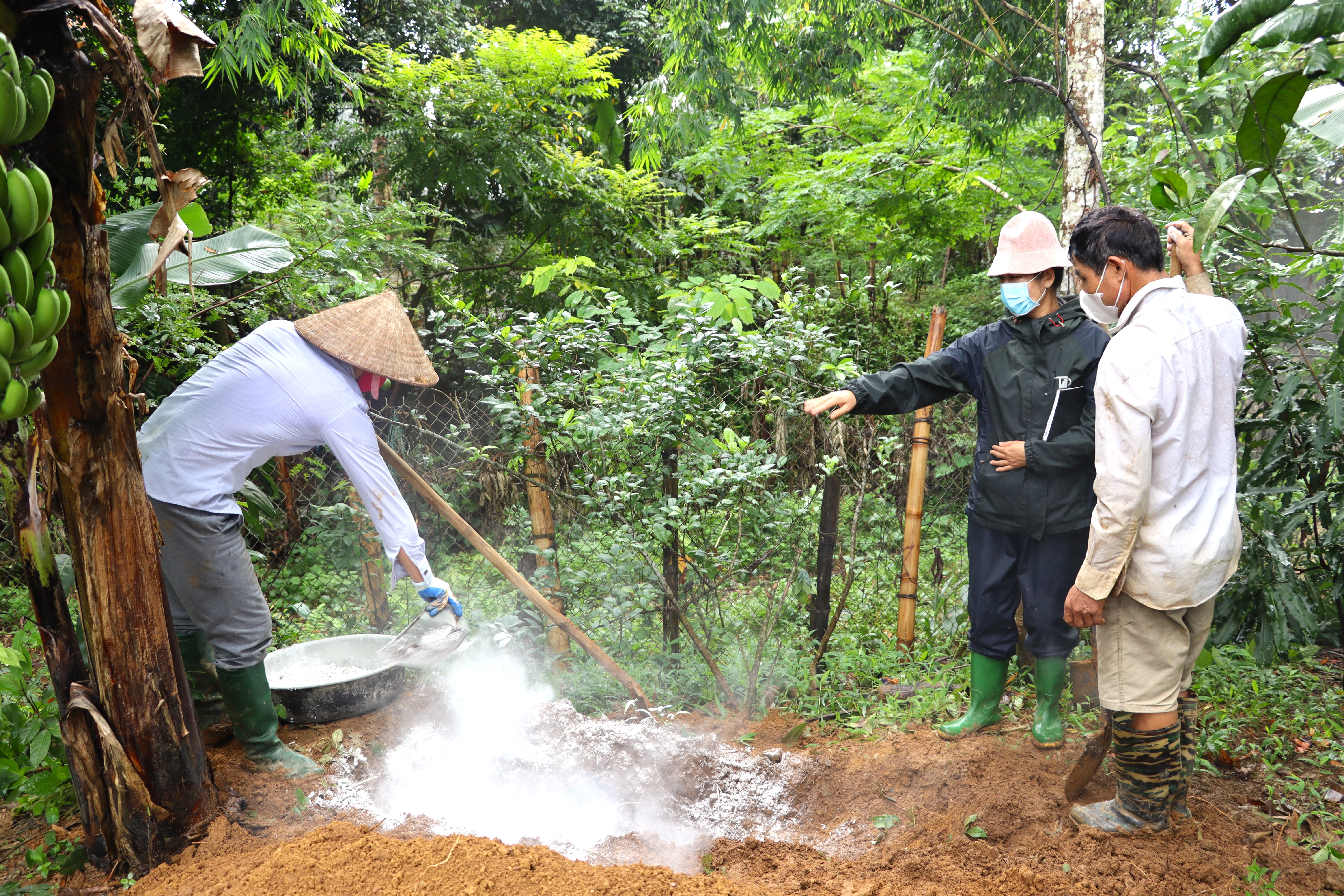 Chủ động phòng, chống dịch tả lợn châu Phi 