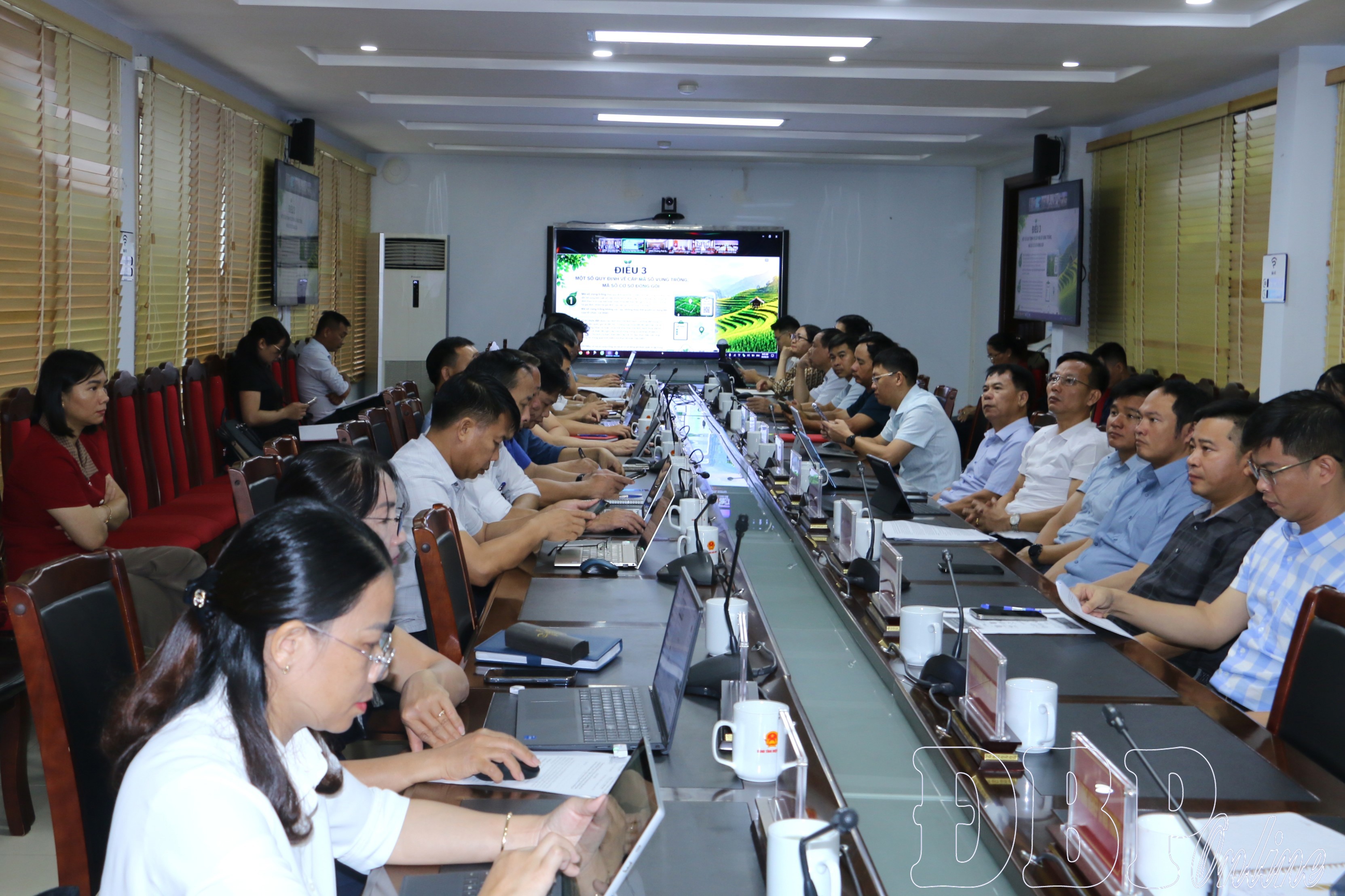 Triển khai Nghị quyết về đơn giản hóa thủ tục cấp mã số vùng trồng, cơ sở đóng gói