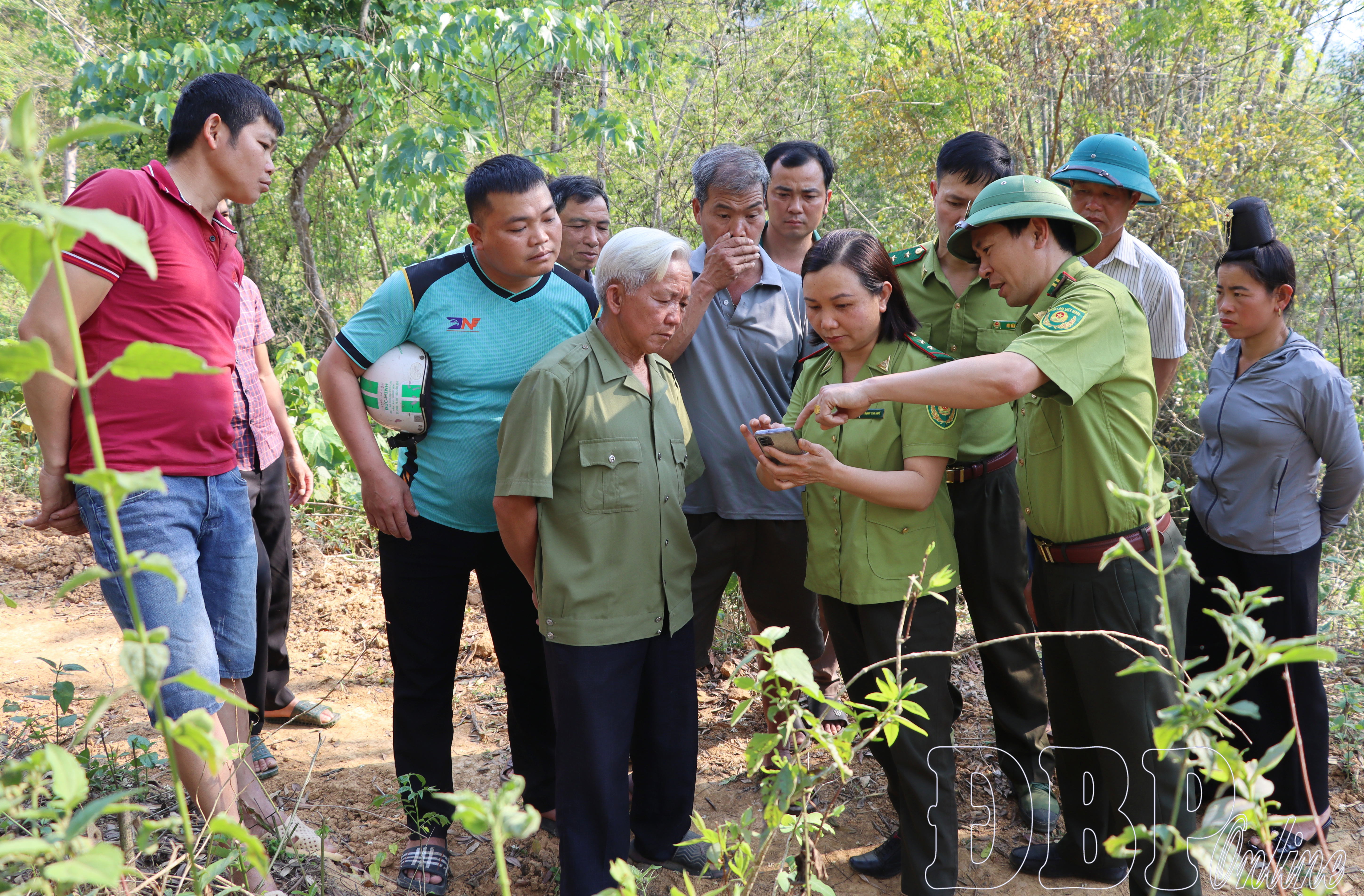 Chủ động phòng cháy, chữa cháy rừng mùa khô hanh