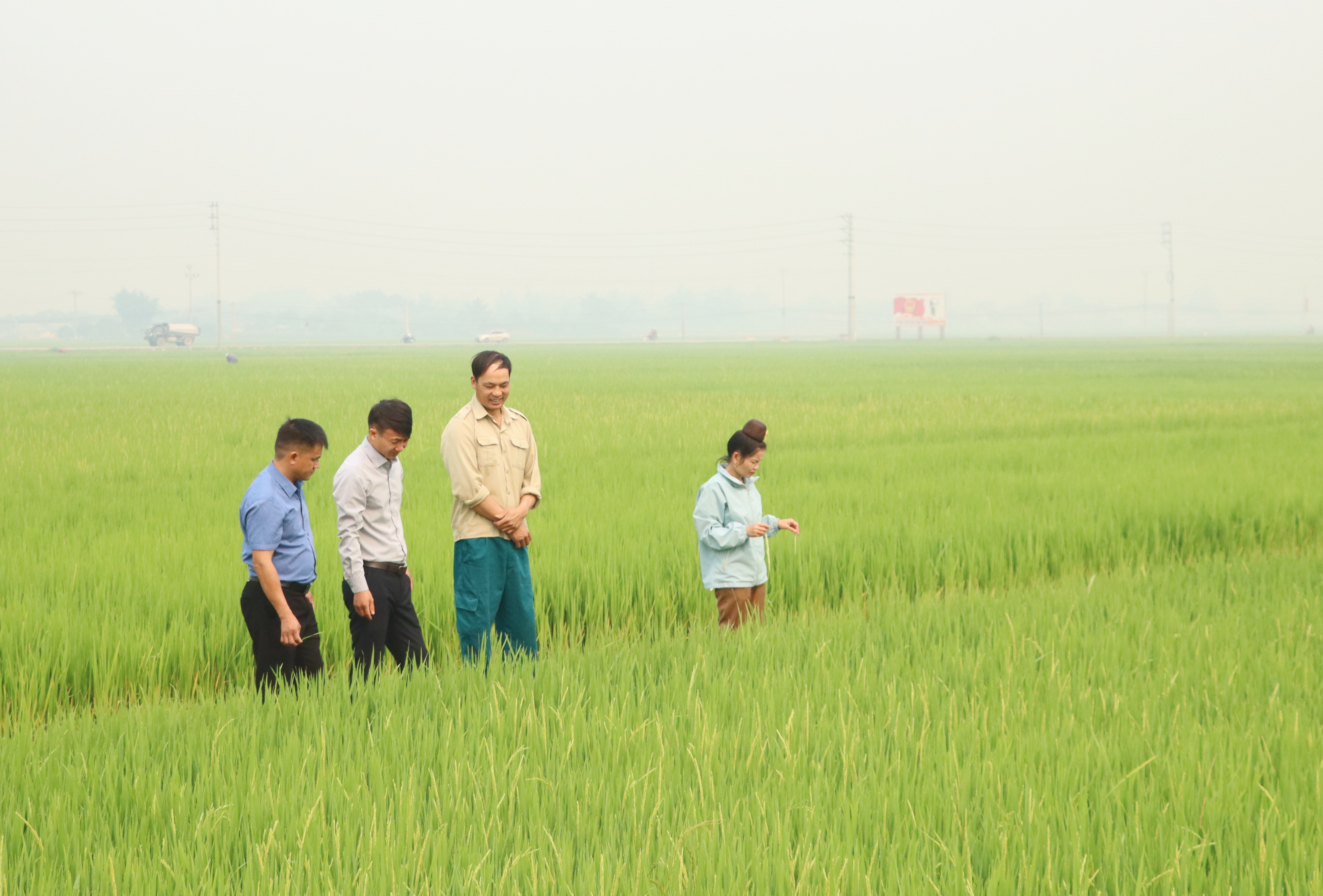 Đảm bảo nước tưới phục vụ sản xuất 