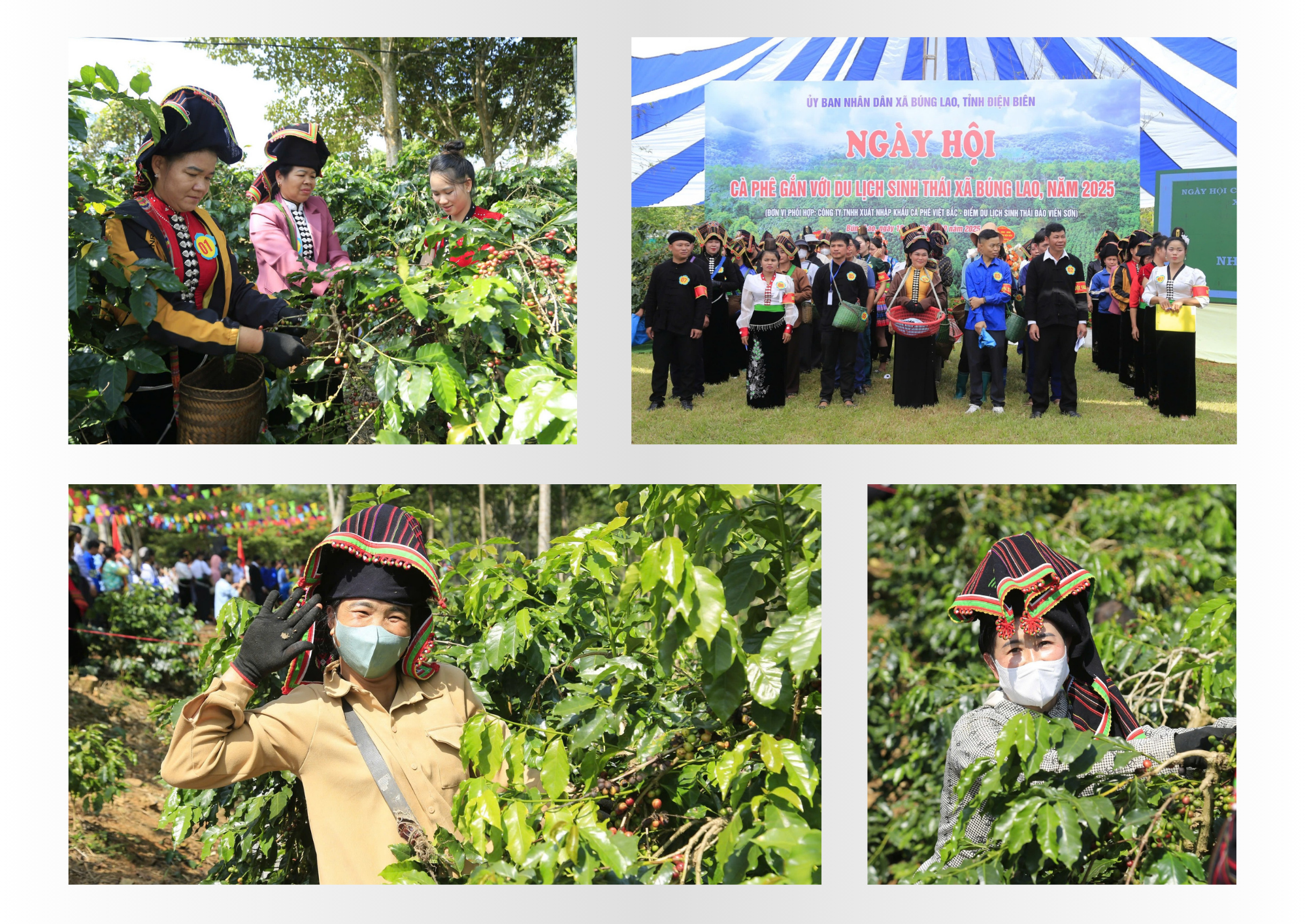 “Vàng nâu” thức giấc nơi biên cương