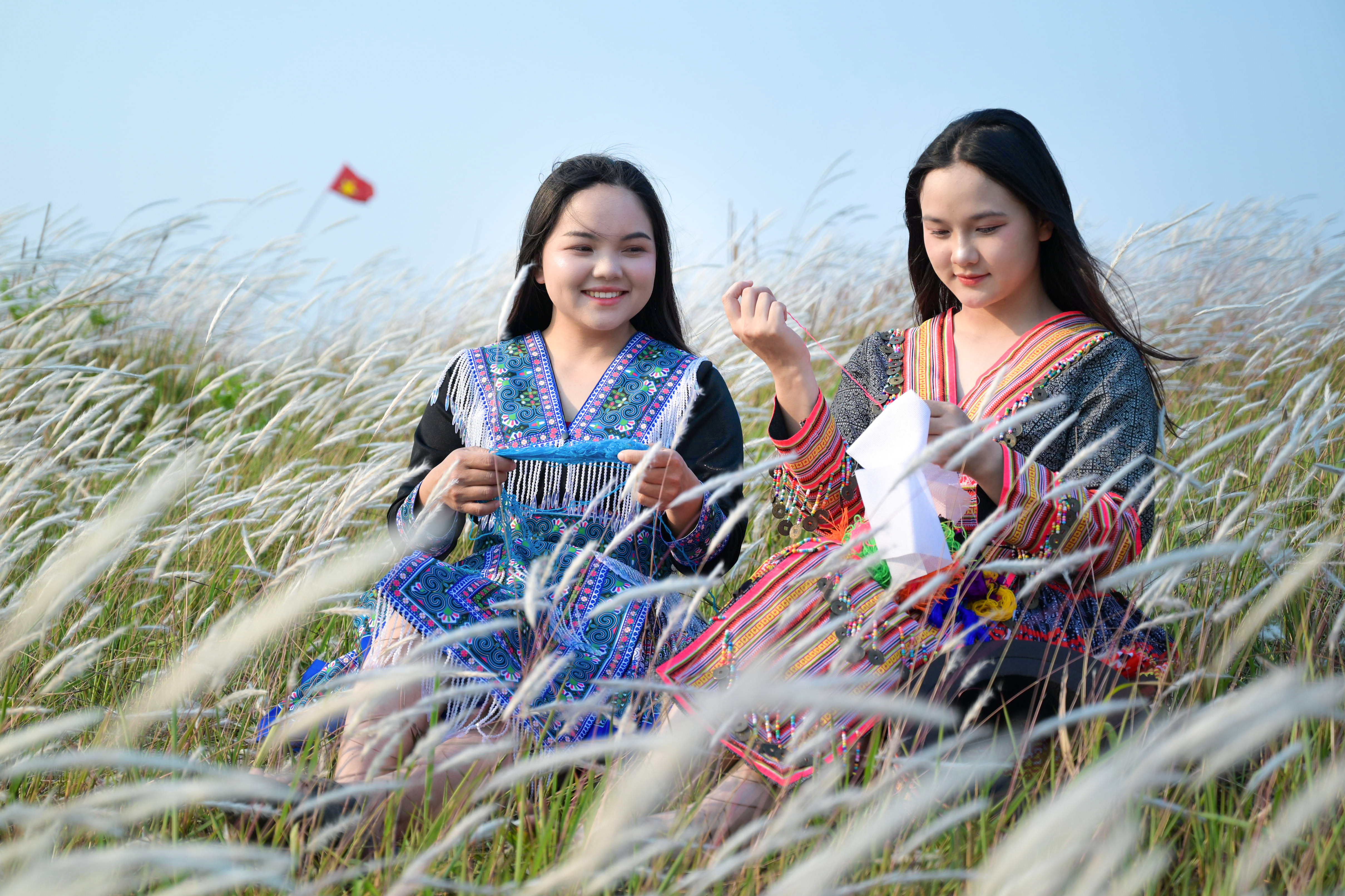 Đồi cỏ tranh Tìa Ló: Tọa độ check-in đẹp ngỡ ngàng