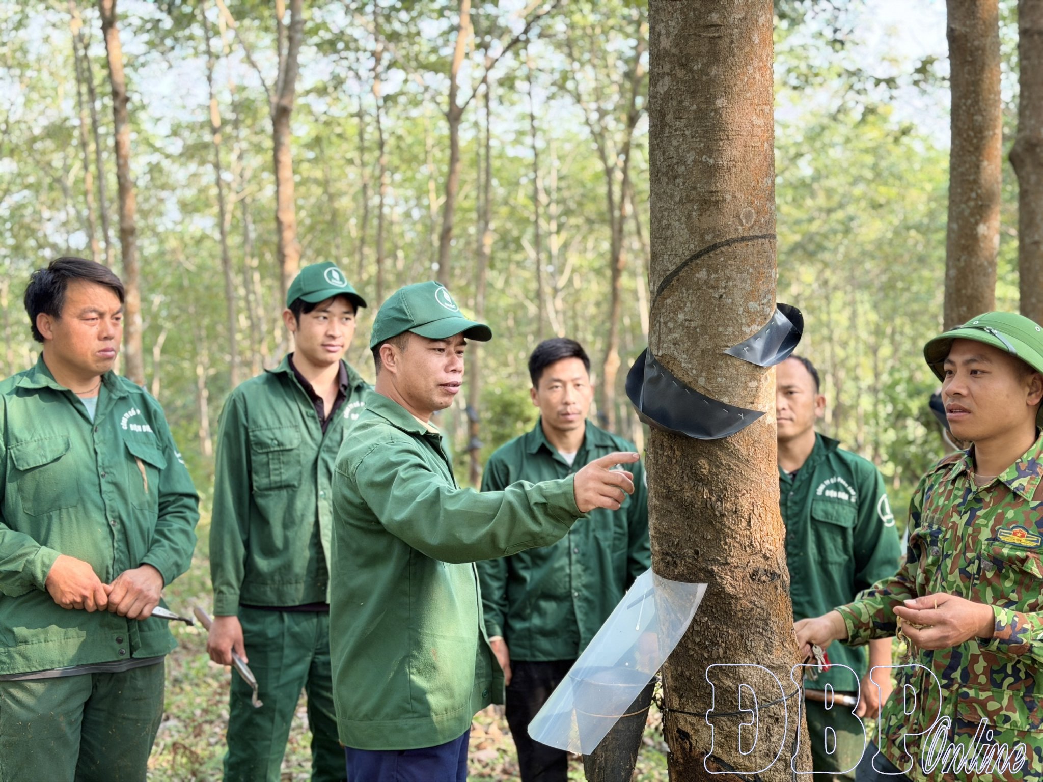 Nâng cao tay nghề công nhân cao su