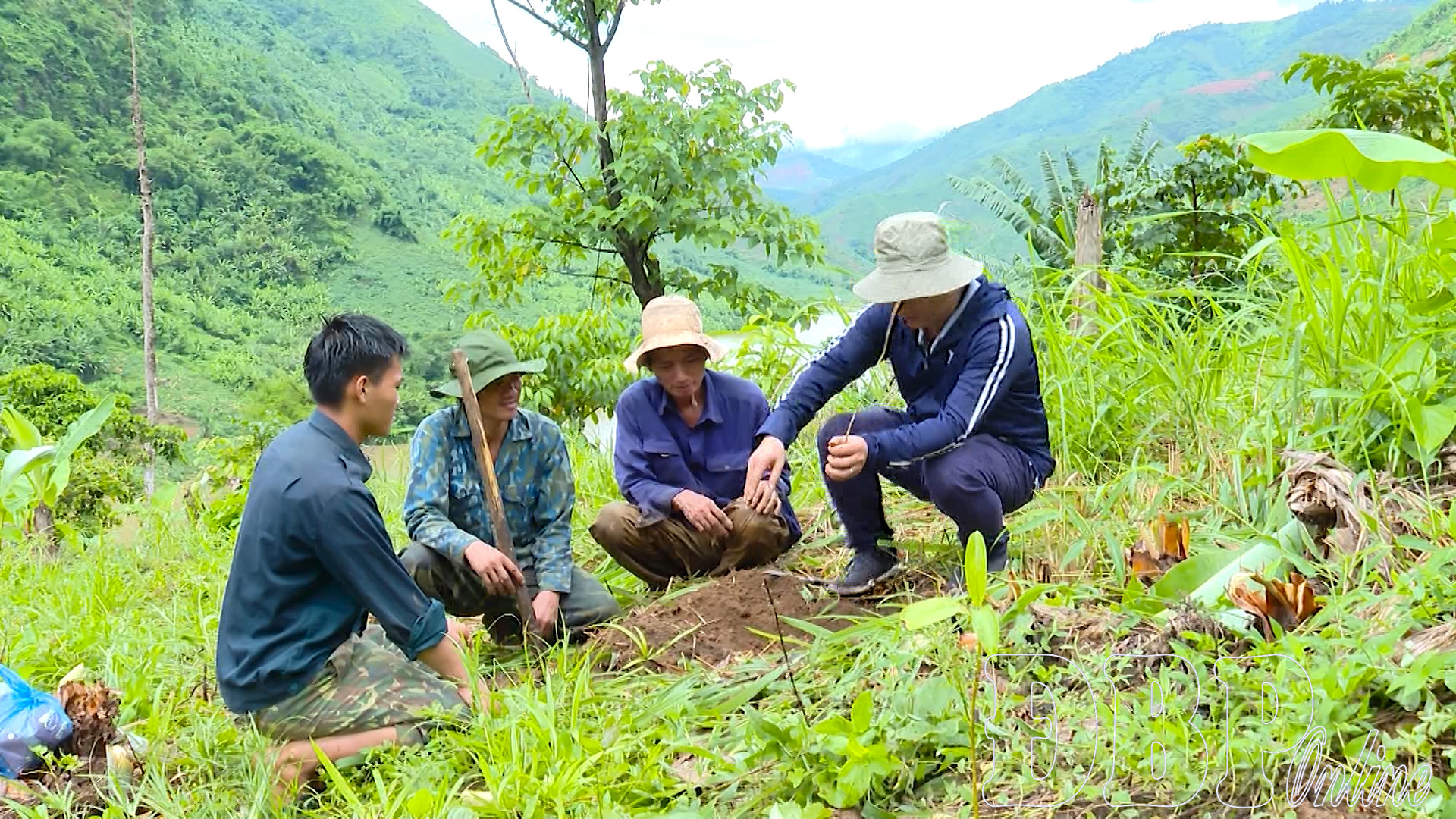 Trồng rừng cho lợi ích dài lâu