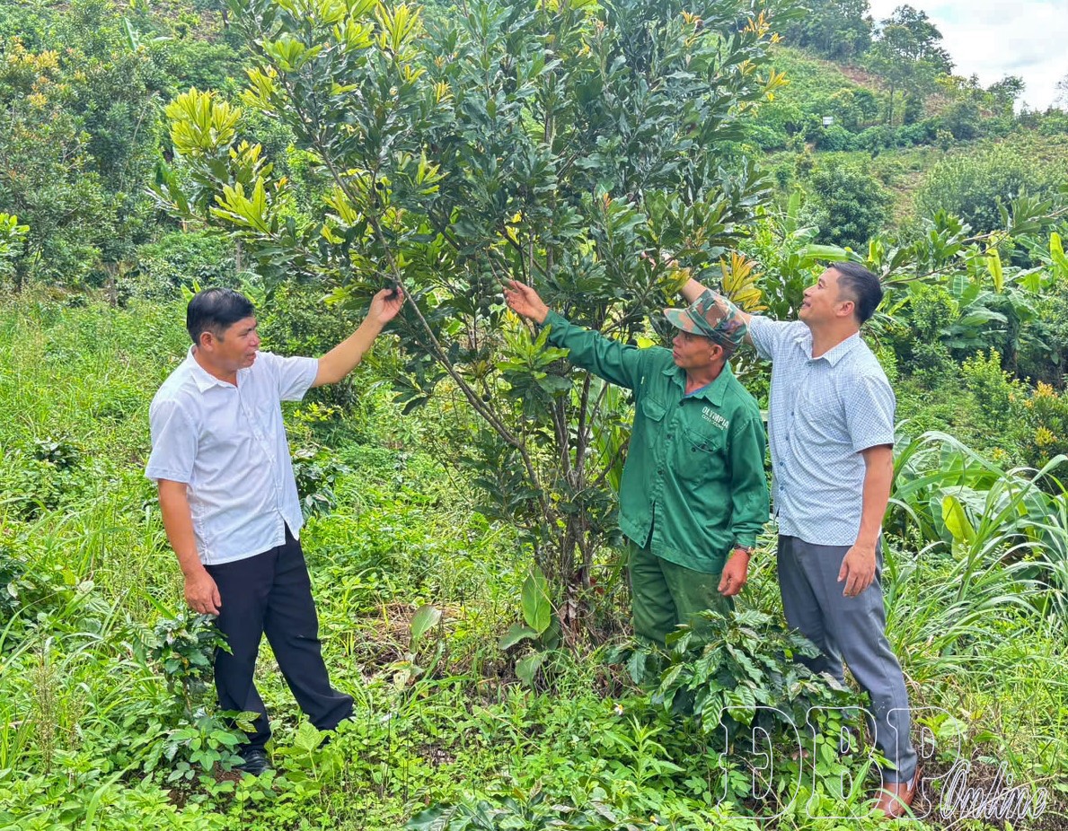 Tái cơ cấu nông nghiệp, kiến tạo nông thôn mới hiện đại
