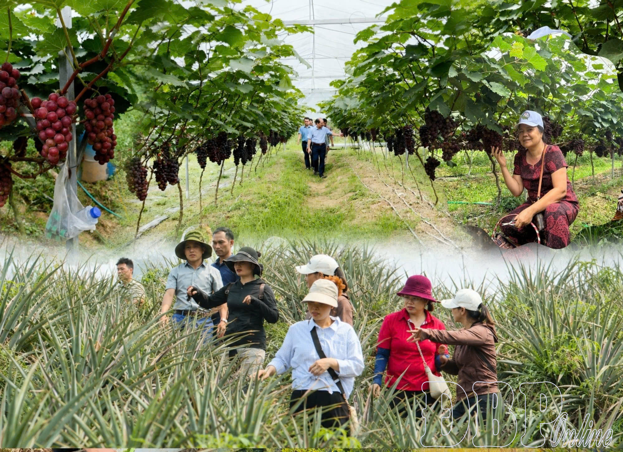 Điện Biên mở lối phát triển “du lịch xanh”