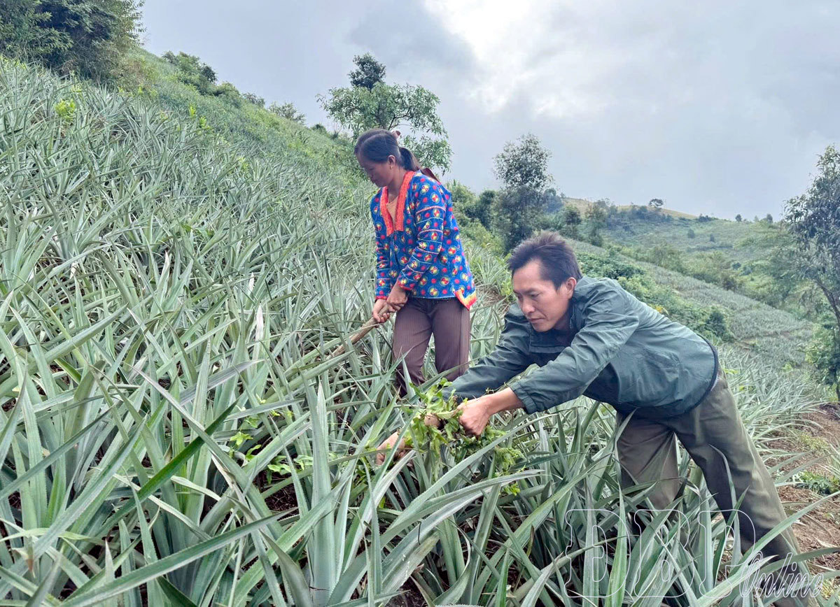 Na Sang giảm nghèo dựa vào tiềm năng và nội lực