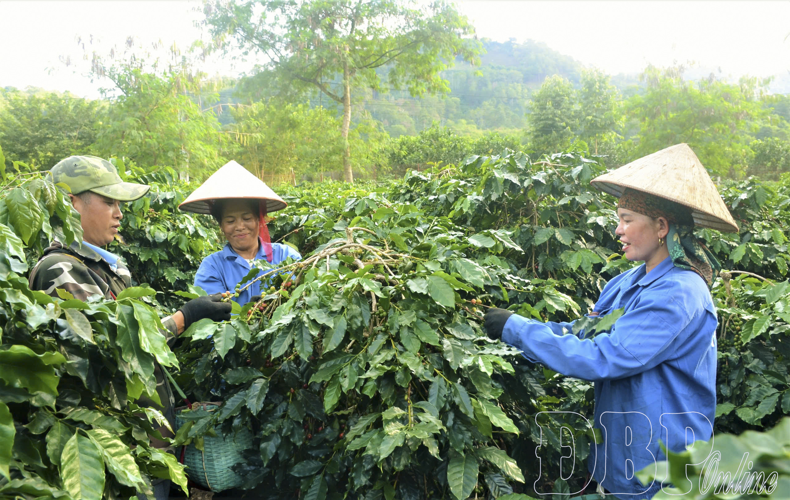 Xây dựng nông thôn mới bền vững