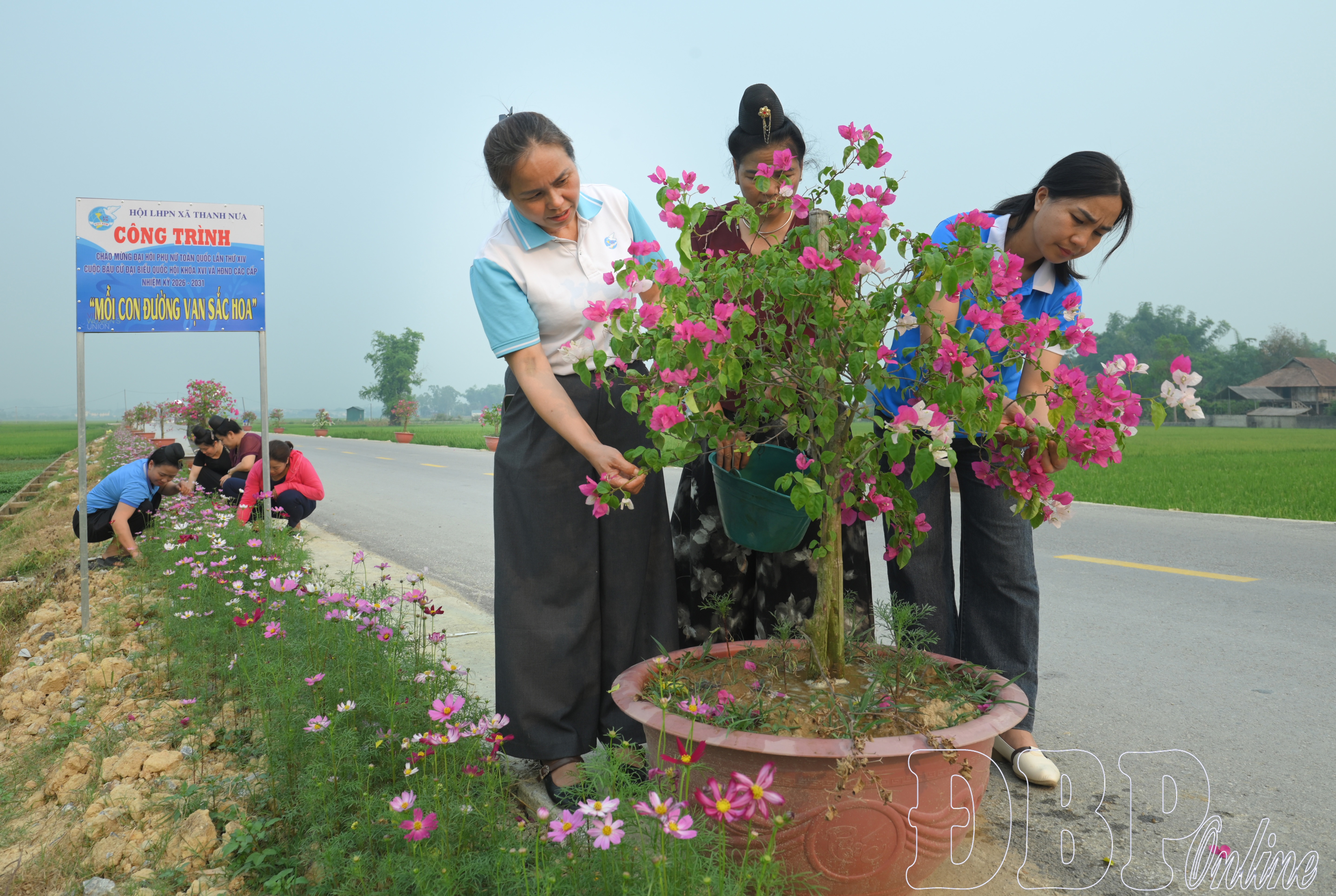 Mỗi con đường – Vạn sắc hoa