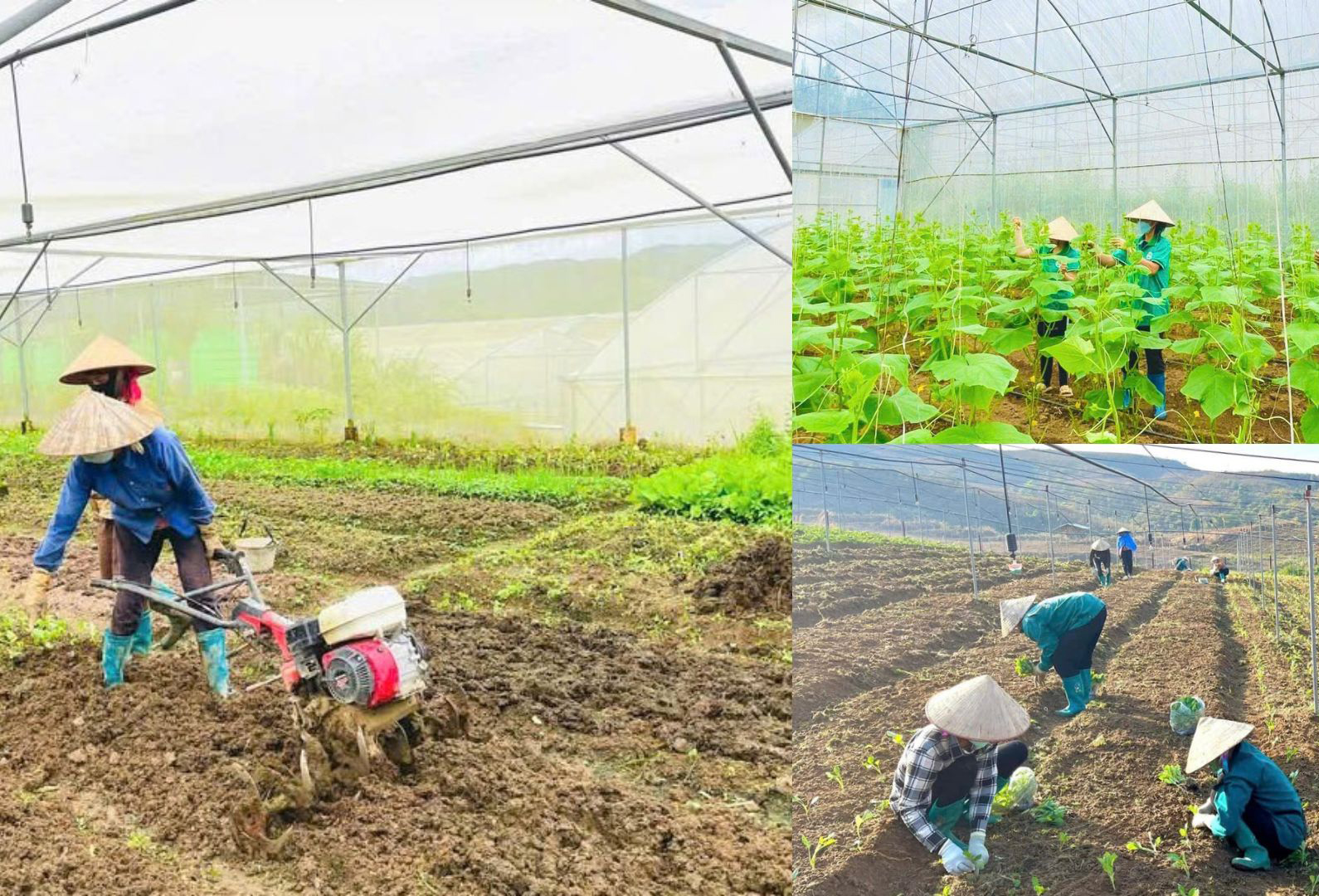 Sôi động khí thế lao động, sản xuất đầu năm mới