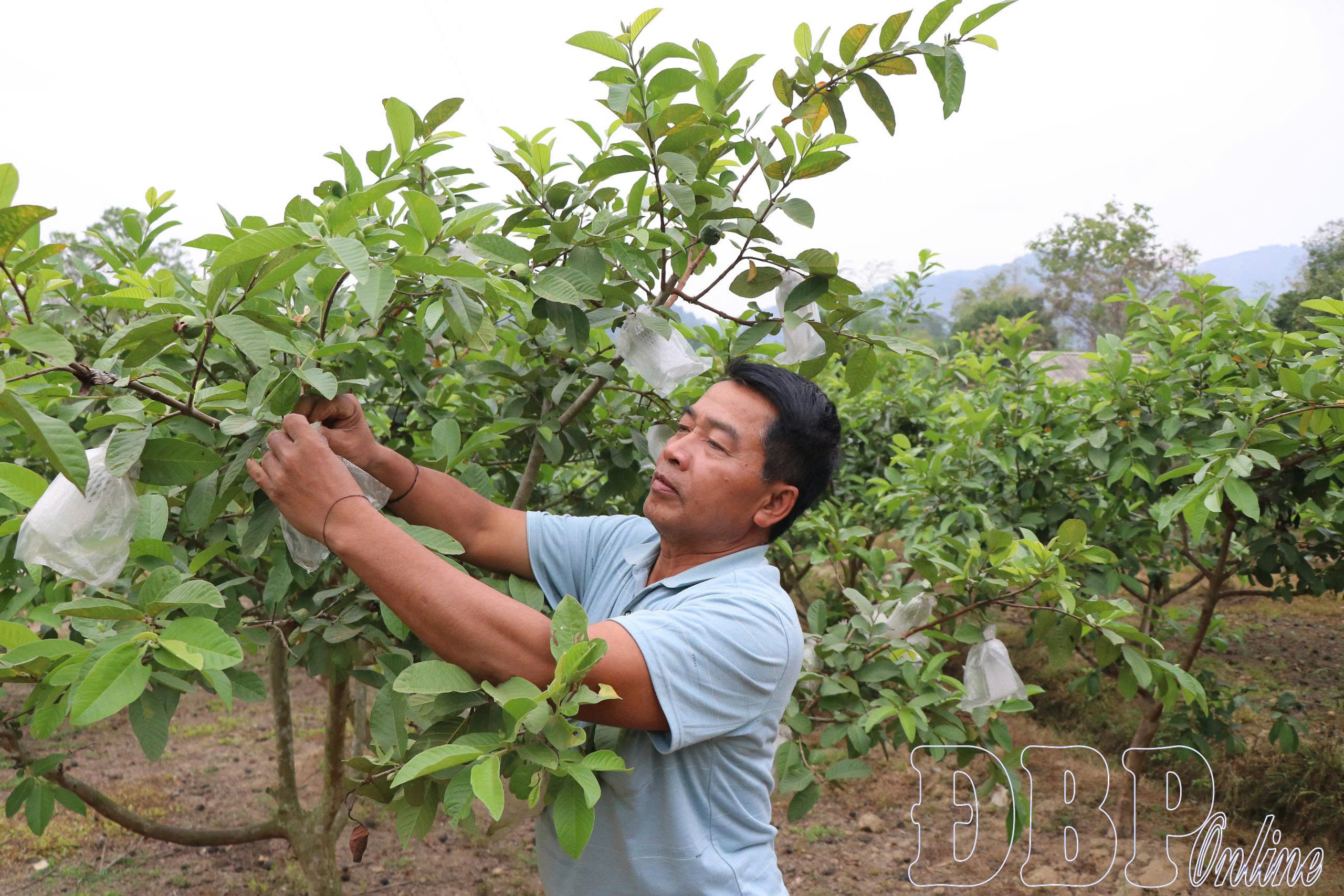 Đảng vững mạnh từ gốc