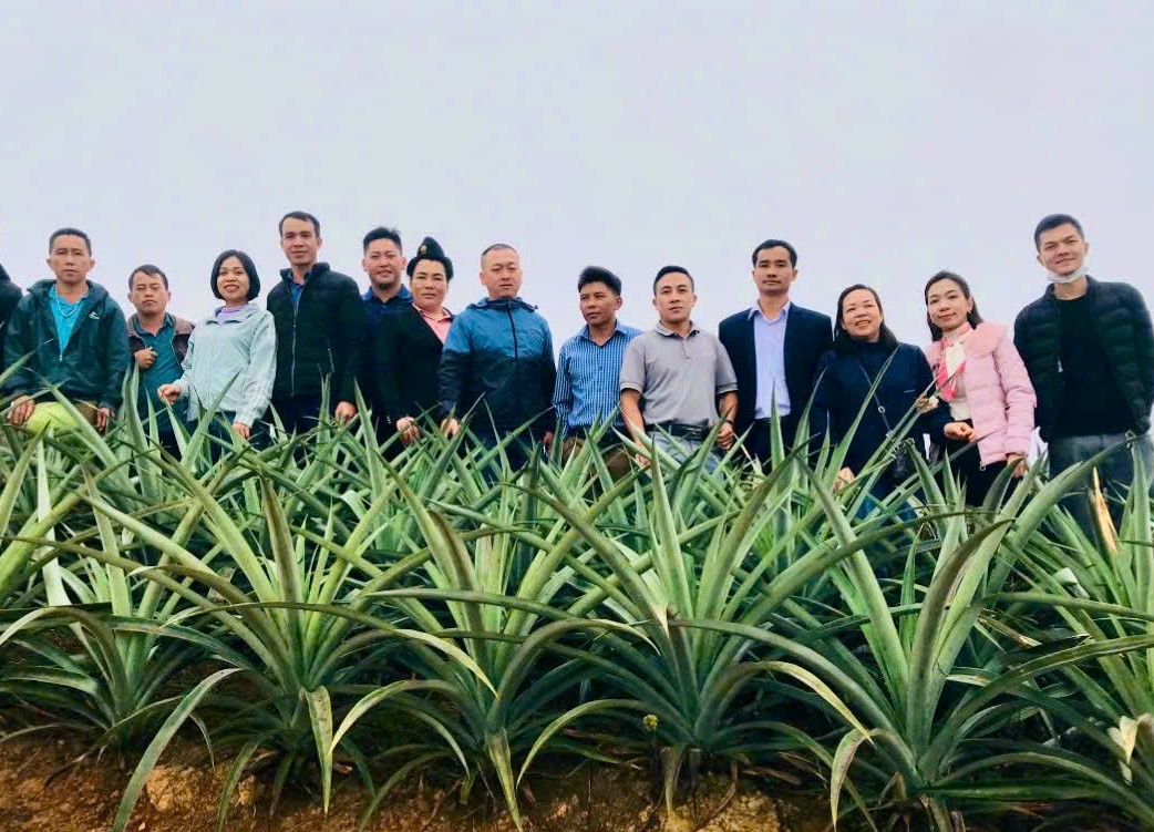 Người trẻ ở thôn bản lập hợp tác xã